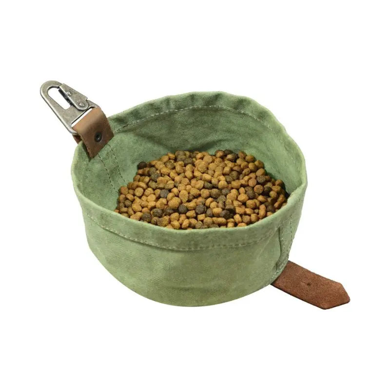 Dog Bowl