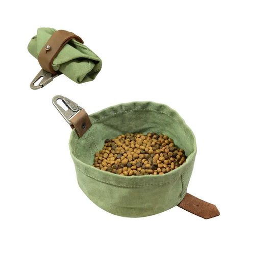 Dog Bowl