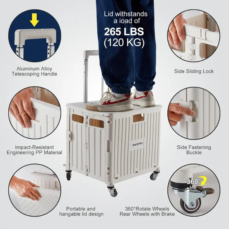 Utility Cart