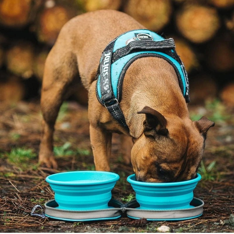 Dog Bowl Set